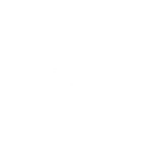 Dassault Systemes
