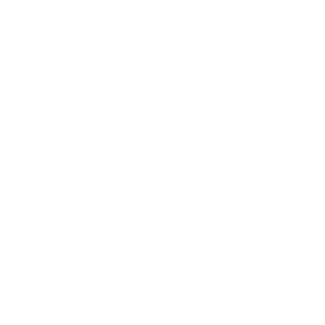 Shaktimat