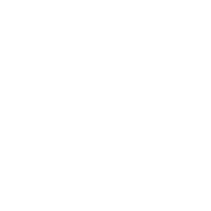 giz